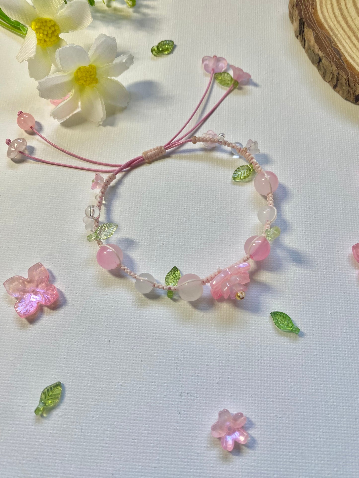 Sakura 🌸