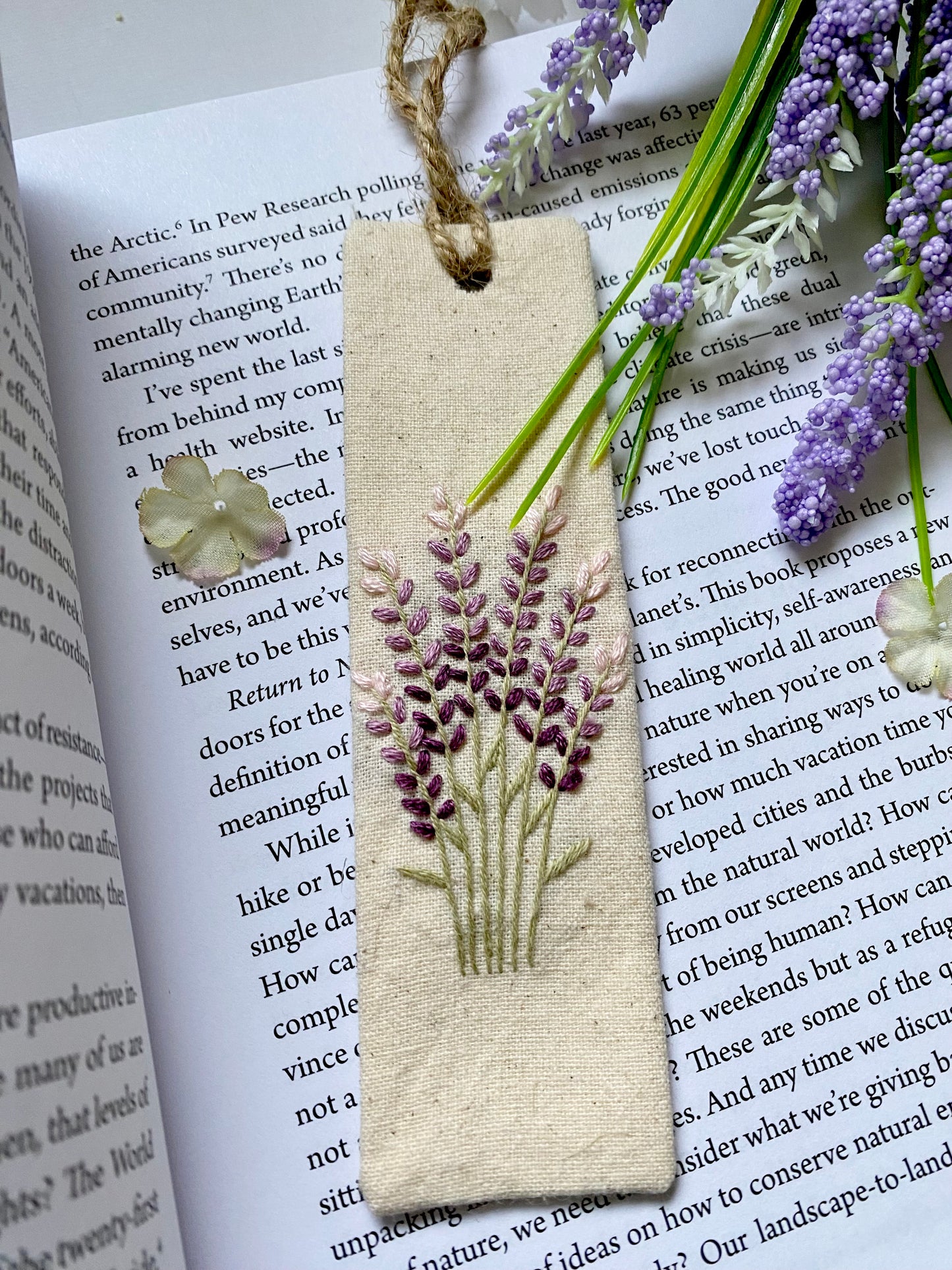 Lavender
